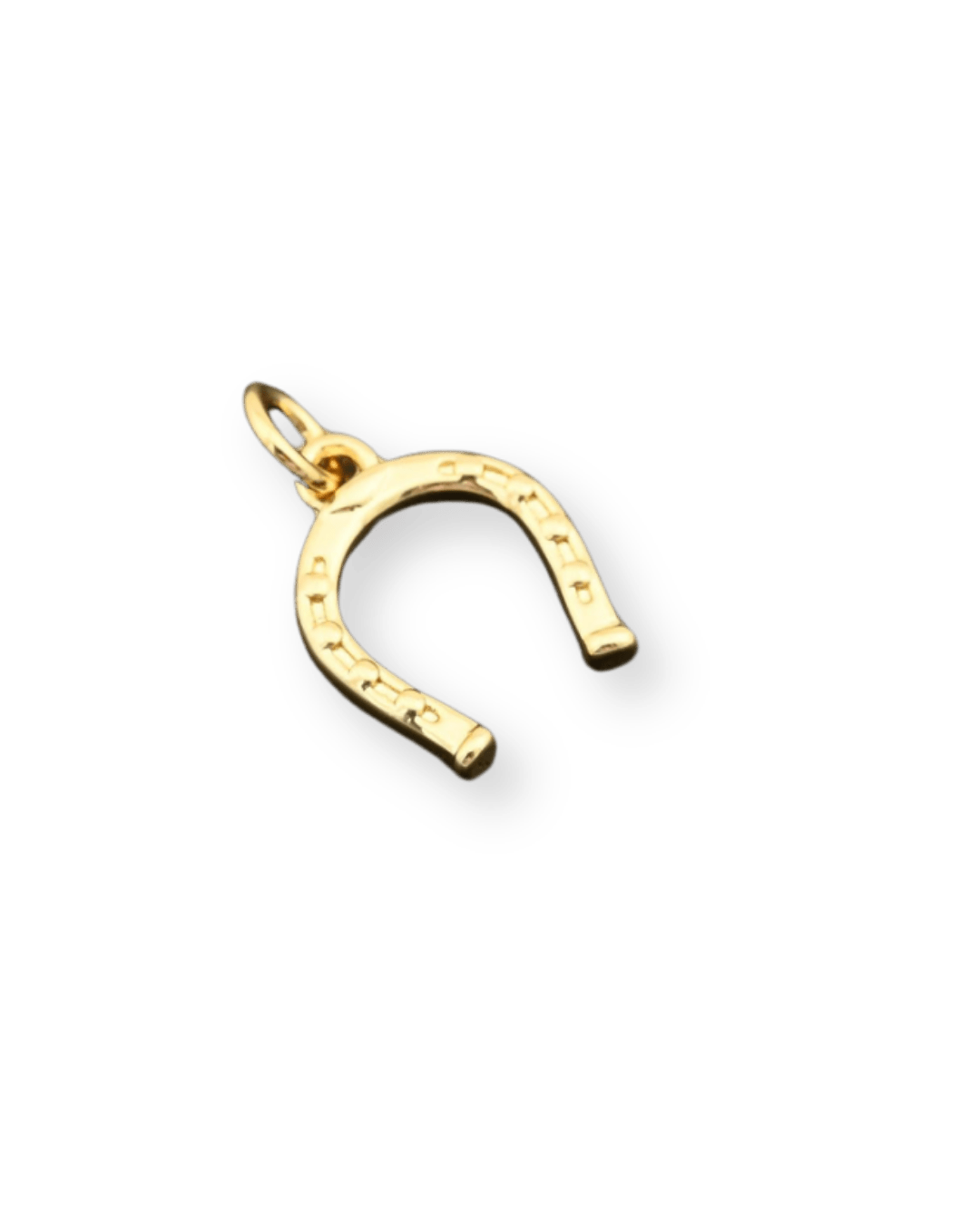 gold horseshoe Charm - Emerson & Oliver - Necklace
