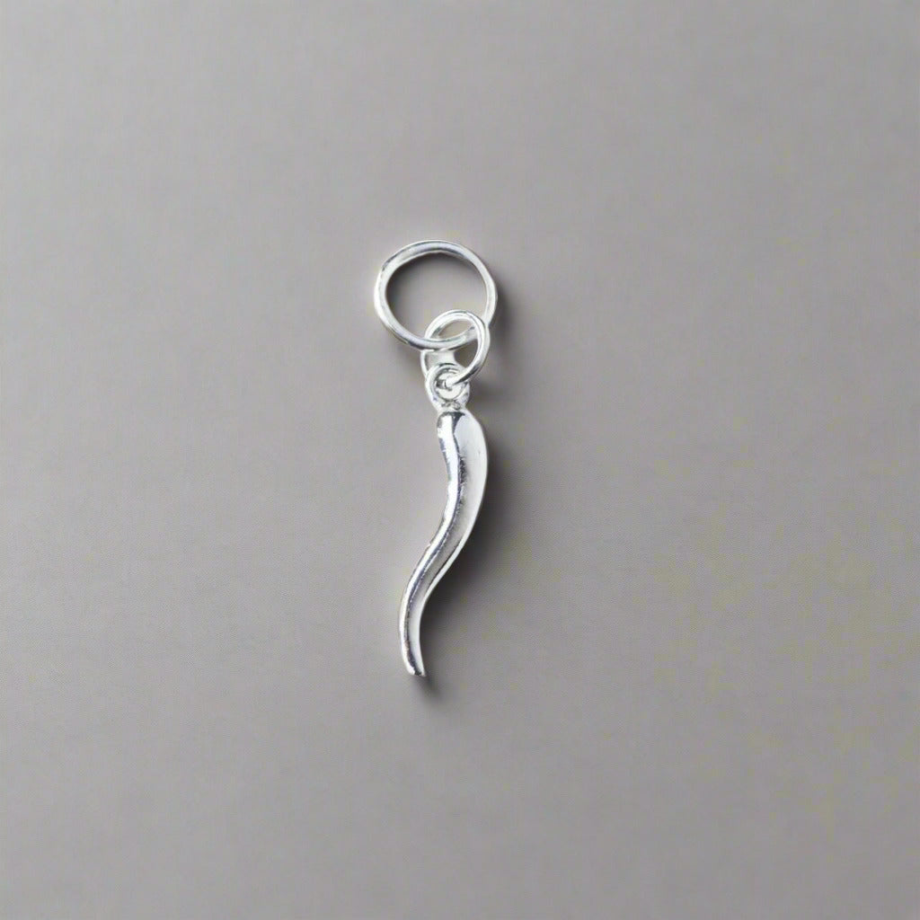 Silver Horn Charm