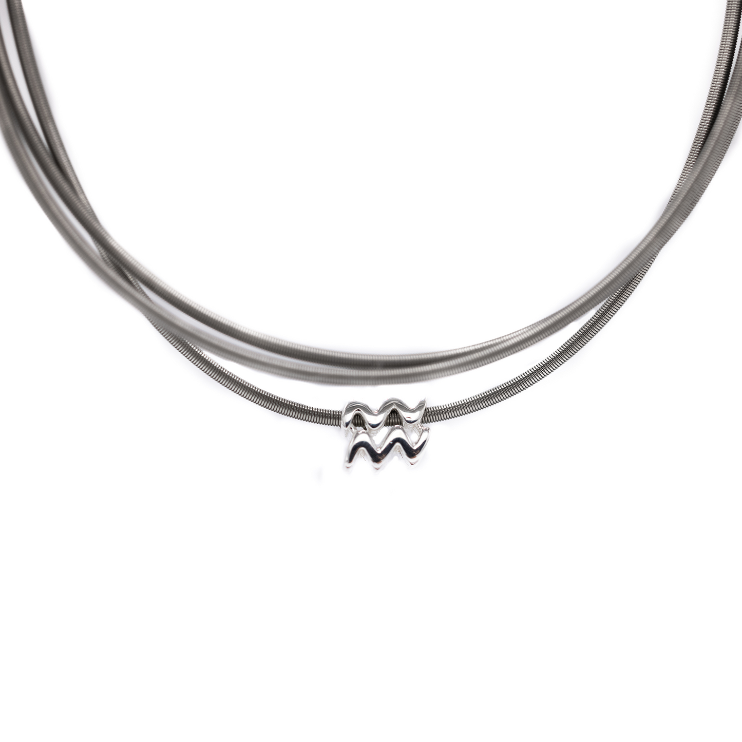Zodiac Charm Collection