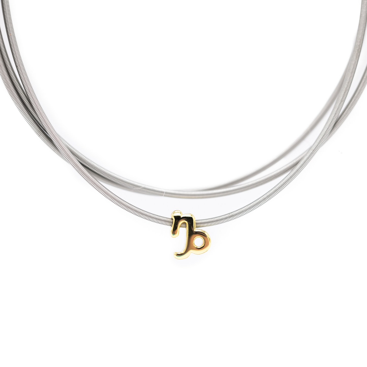 Zodiac Charm Collection