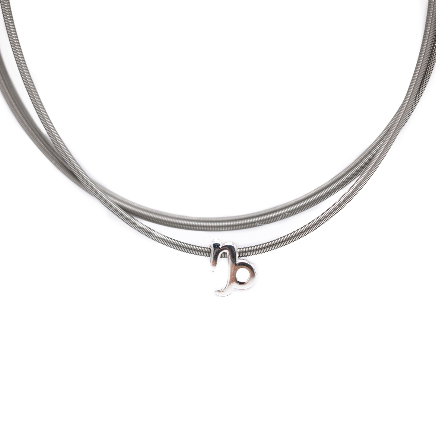 Zodiac Charm Collection