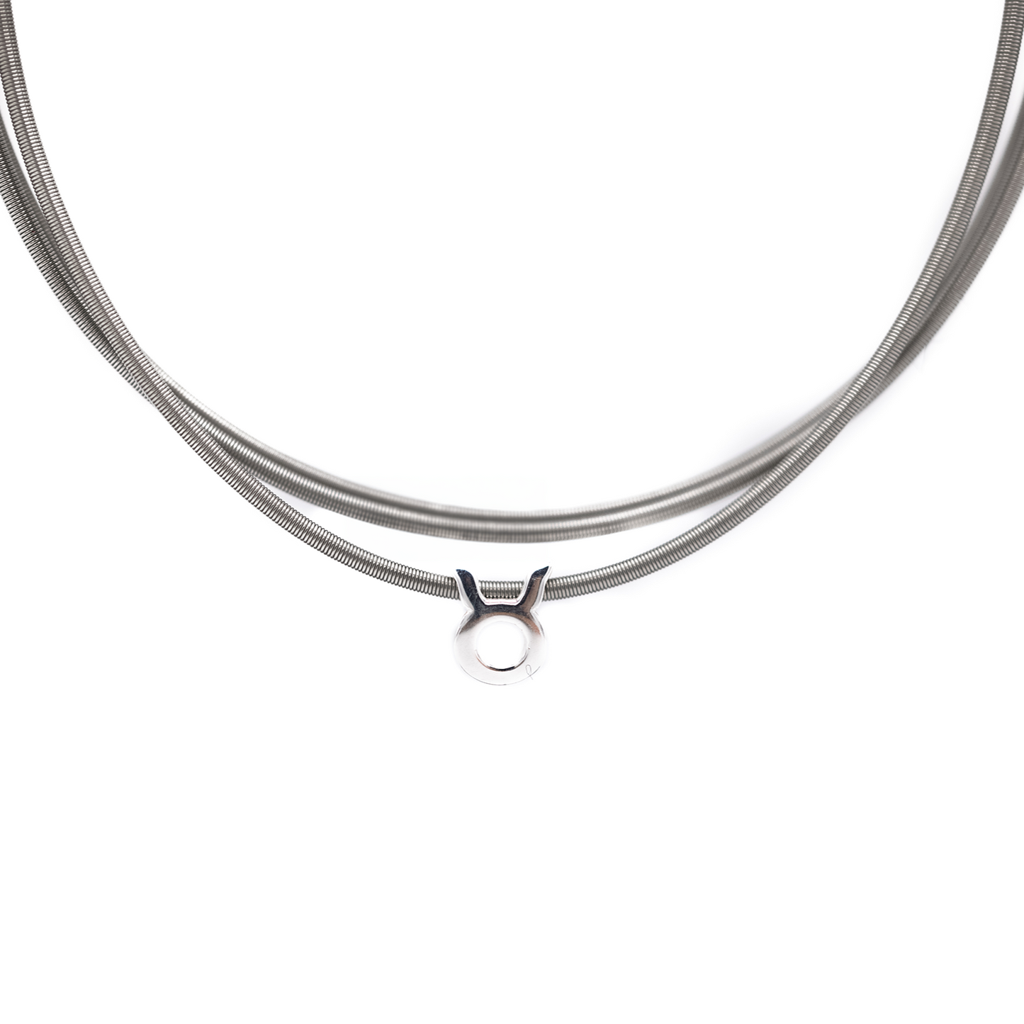 Zodiac Charm Collection