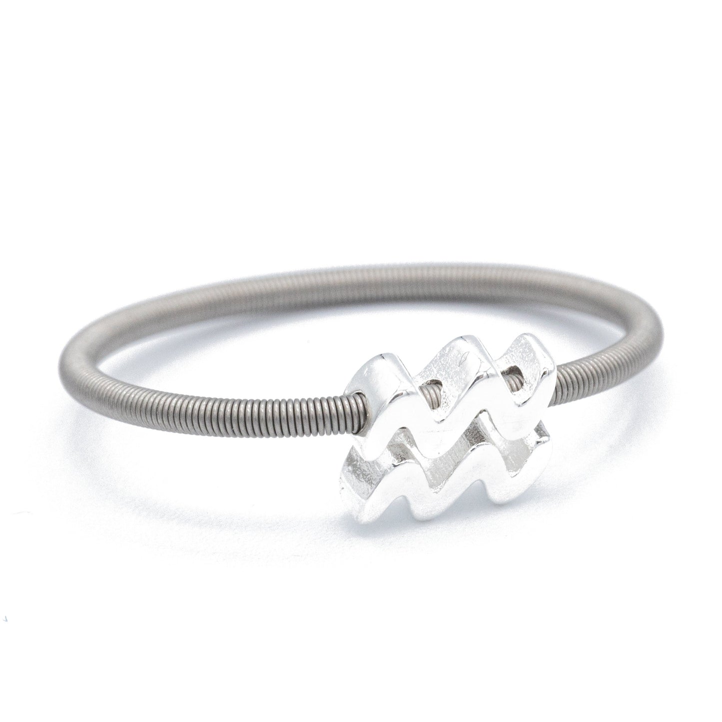 Silver Aquarius on Stainless Steel  Dia Rings