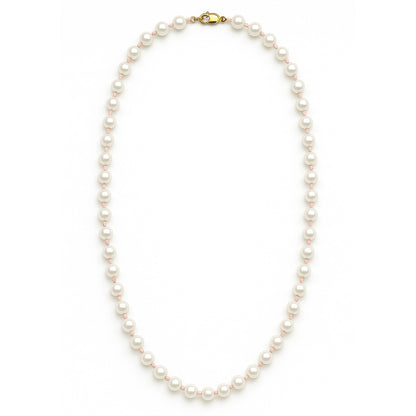 Pearl necklace with a gold clasp on a white background
