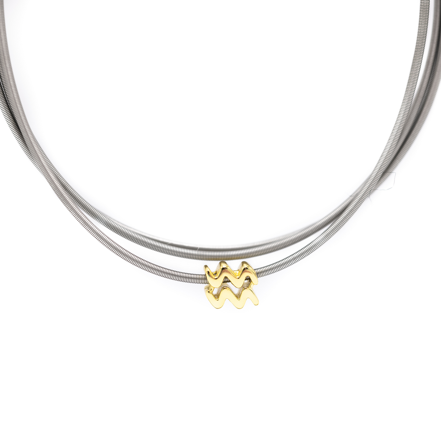 Zodiac Charm Collection