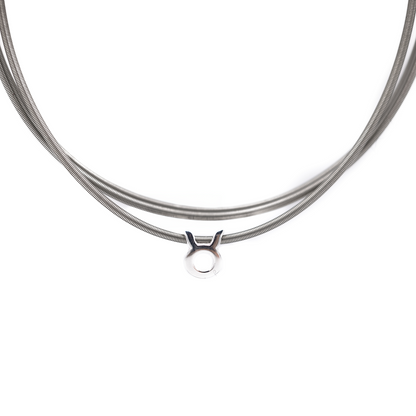 Zodiac Charm Collection